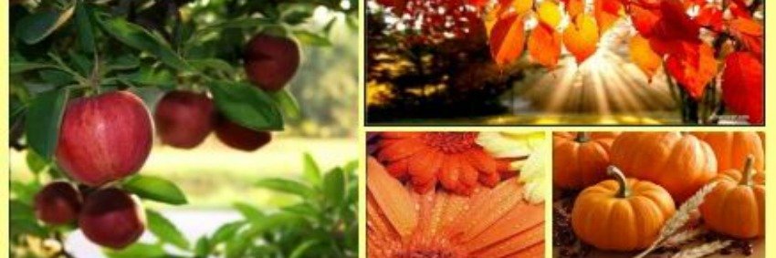 EssenceGia's profile banner image