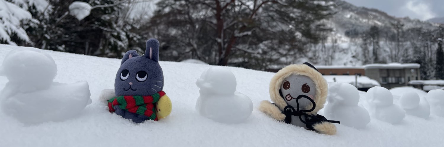 🪨🐈‍⬛💫 banner