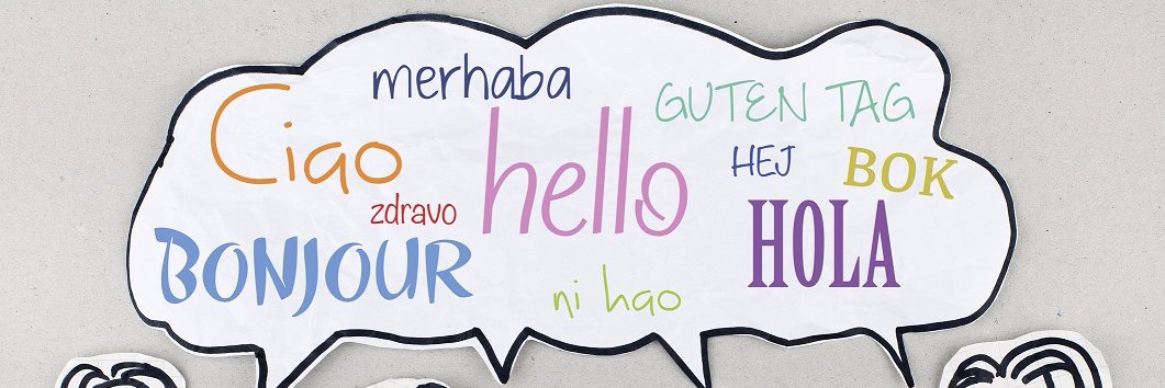 Alicia González banner