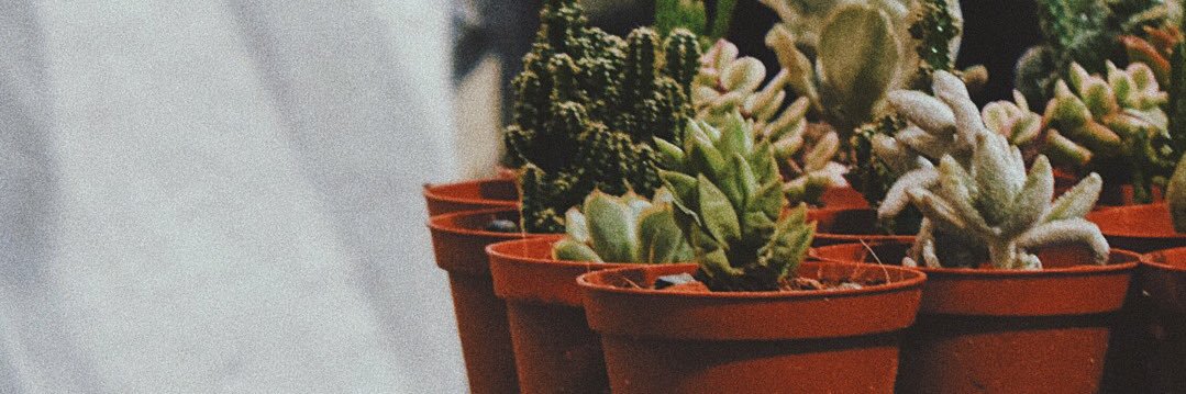 fandysiagian's profile banner image