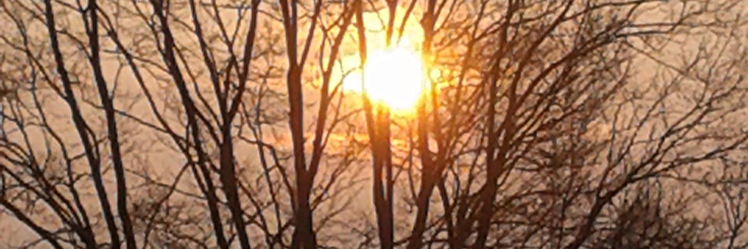 postvonah's profile banner image