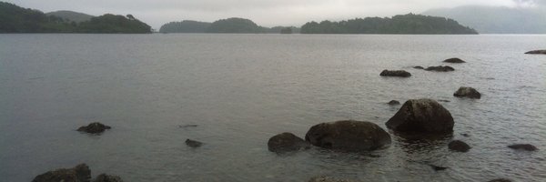 ADumas5 Profile Banner