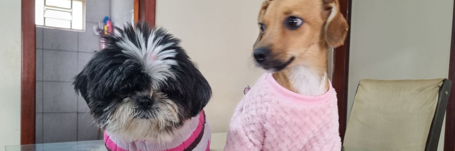 bianca_vm18's profile banner image