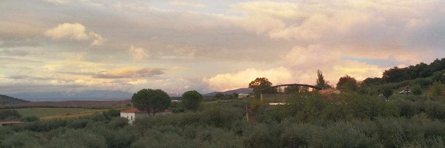 VeronicaGuti's profile banner image