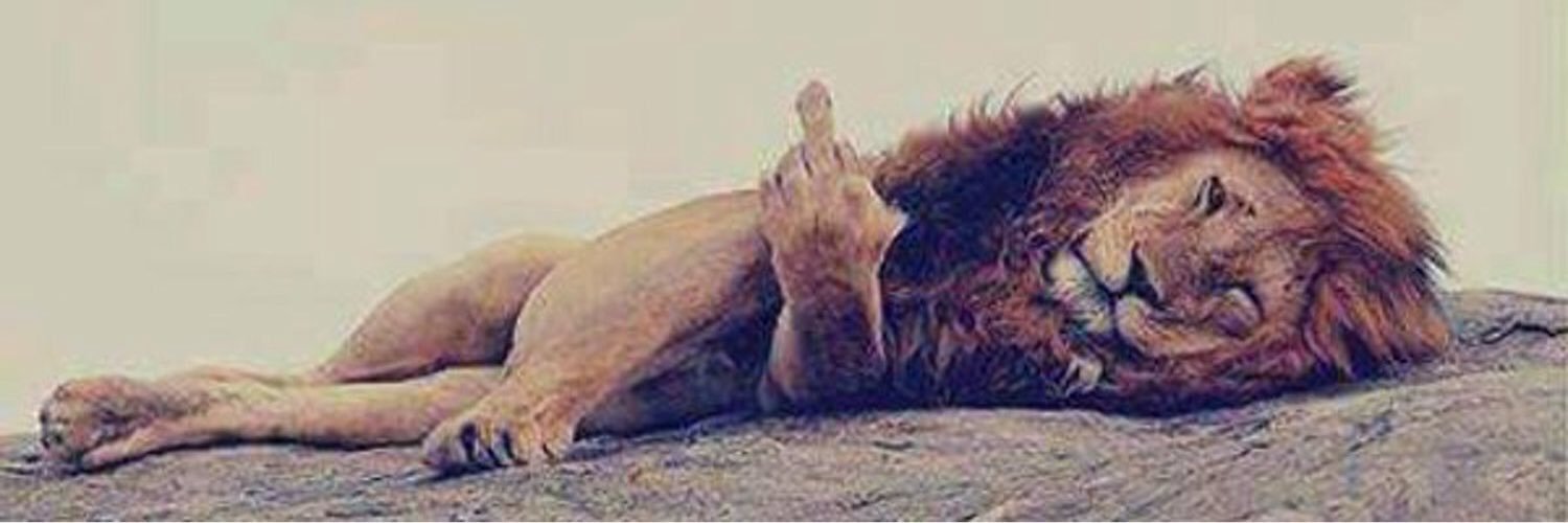 bdlalg's profile banner image