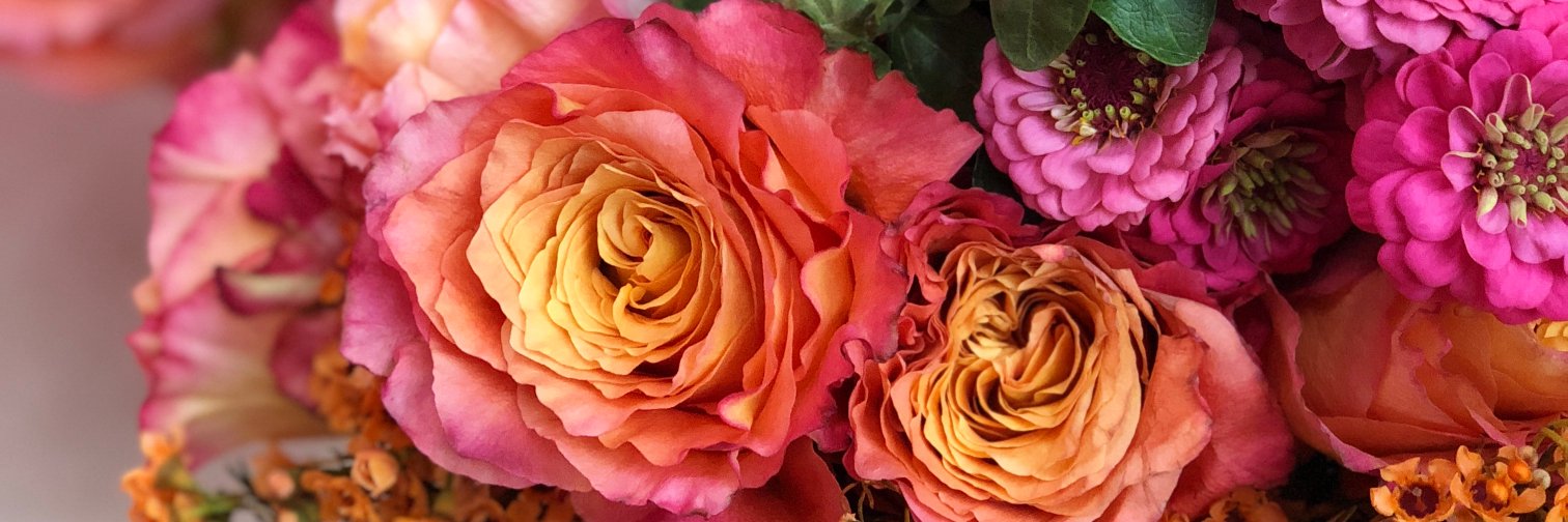 Repeat Roses® banner