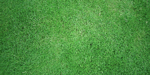 TurfShield's profile banner image