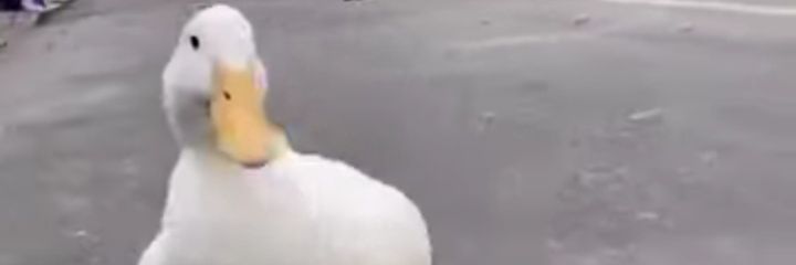 Mkhf1991's profile banner image