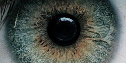 ElenP14's profile banner image