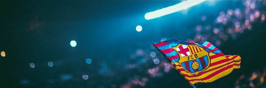 skankavelli's profile banner image