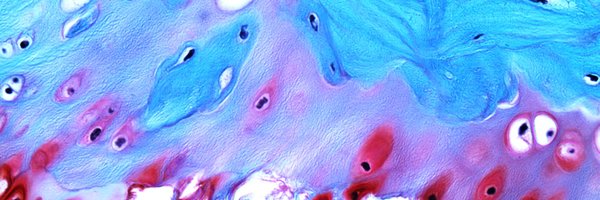 MichalDudekPhD Profile Banner