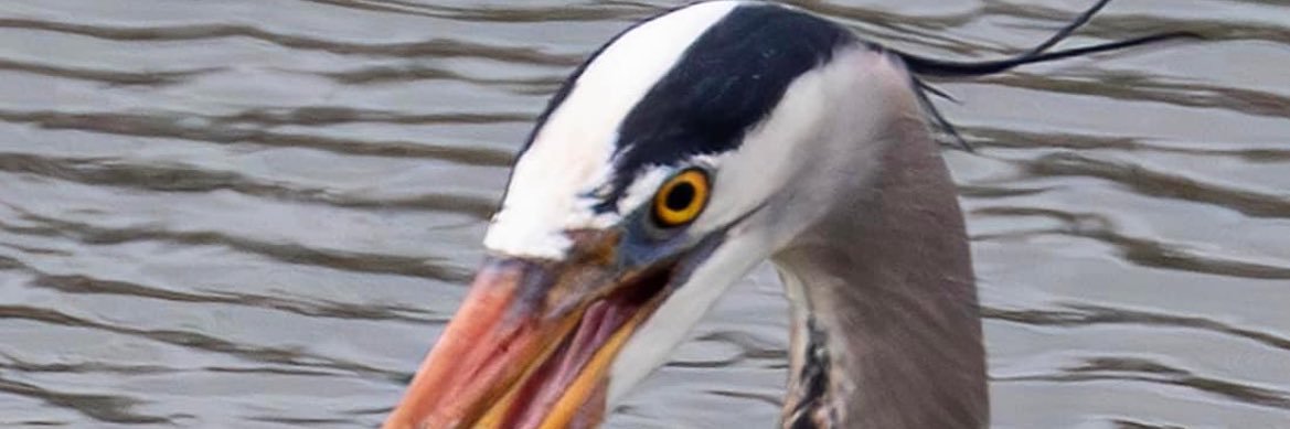 aubree08's profile banner image