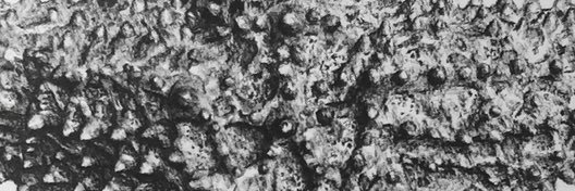 gastella's profile banner image