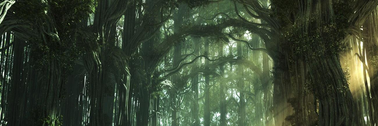 MistarFish's profile banner image