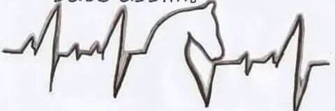 BRS_Elisa's profile banner image