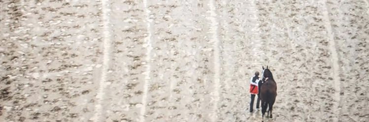 Swirlbones10's profile banner image