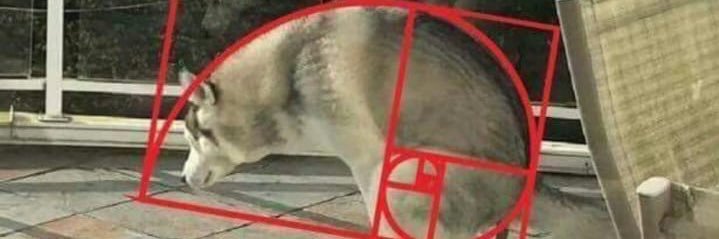 piticli_04's profile banner image
