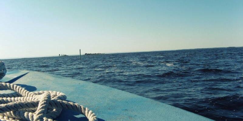 lonlys_'s profile banner image