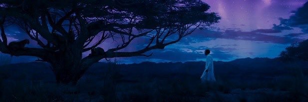 AndrethaKnight's profile banner image