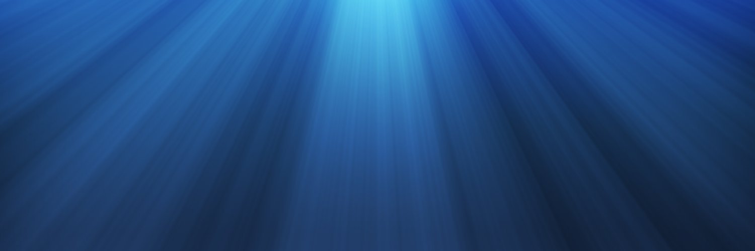 AlisonNJ1's profile banner image
