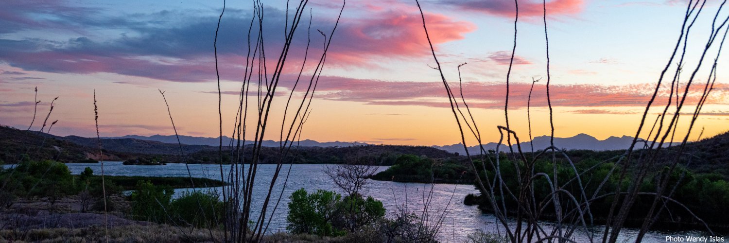 santacruzaz's profile banner image