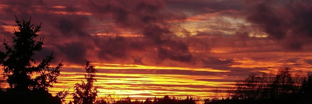 Sylpa13's profile banner image