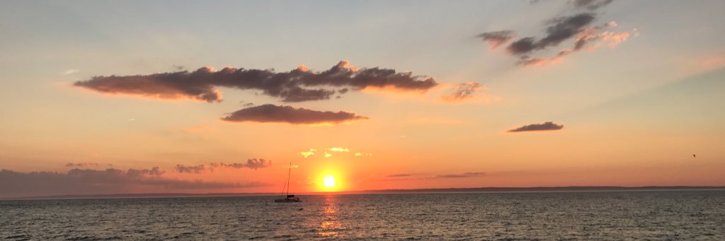 Ranit Mishori MD MHS banner