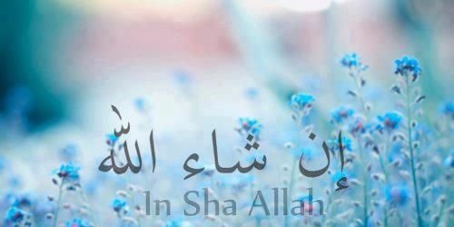 anam1193's profile banner image