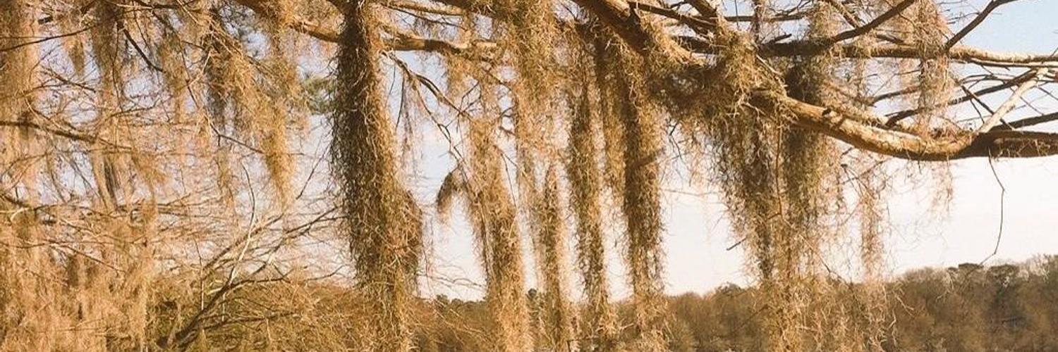Ama9502's profile banner image