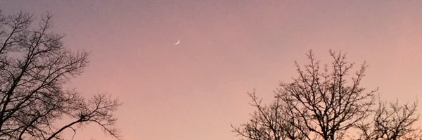 leahdickerman Profile Banner