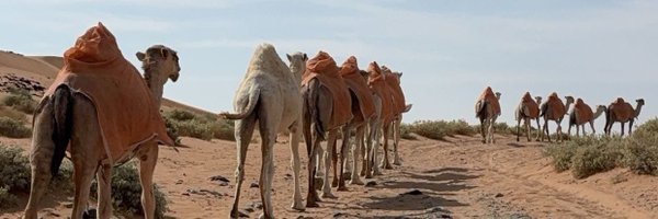 8rwll Profile Banner