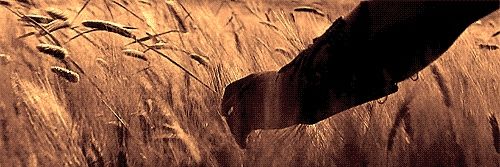 mauscabello's profile banner image