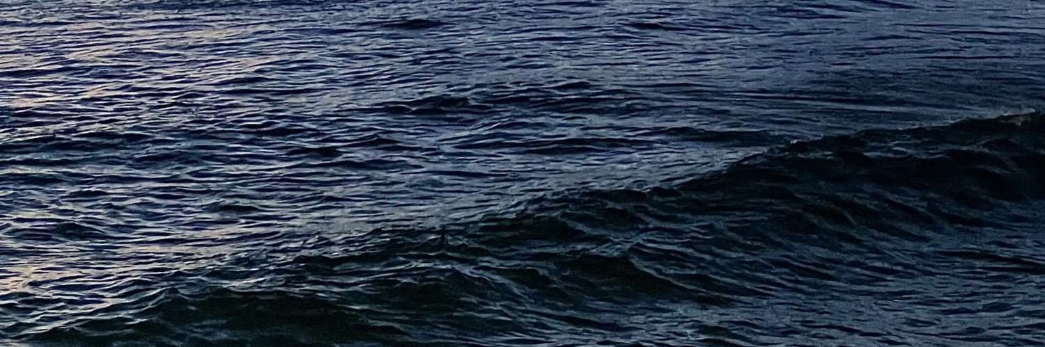 luanccabral_'s profile banner image