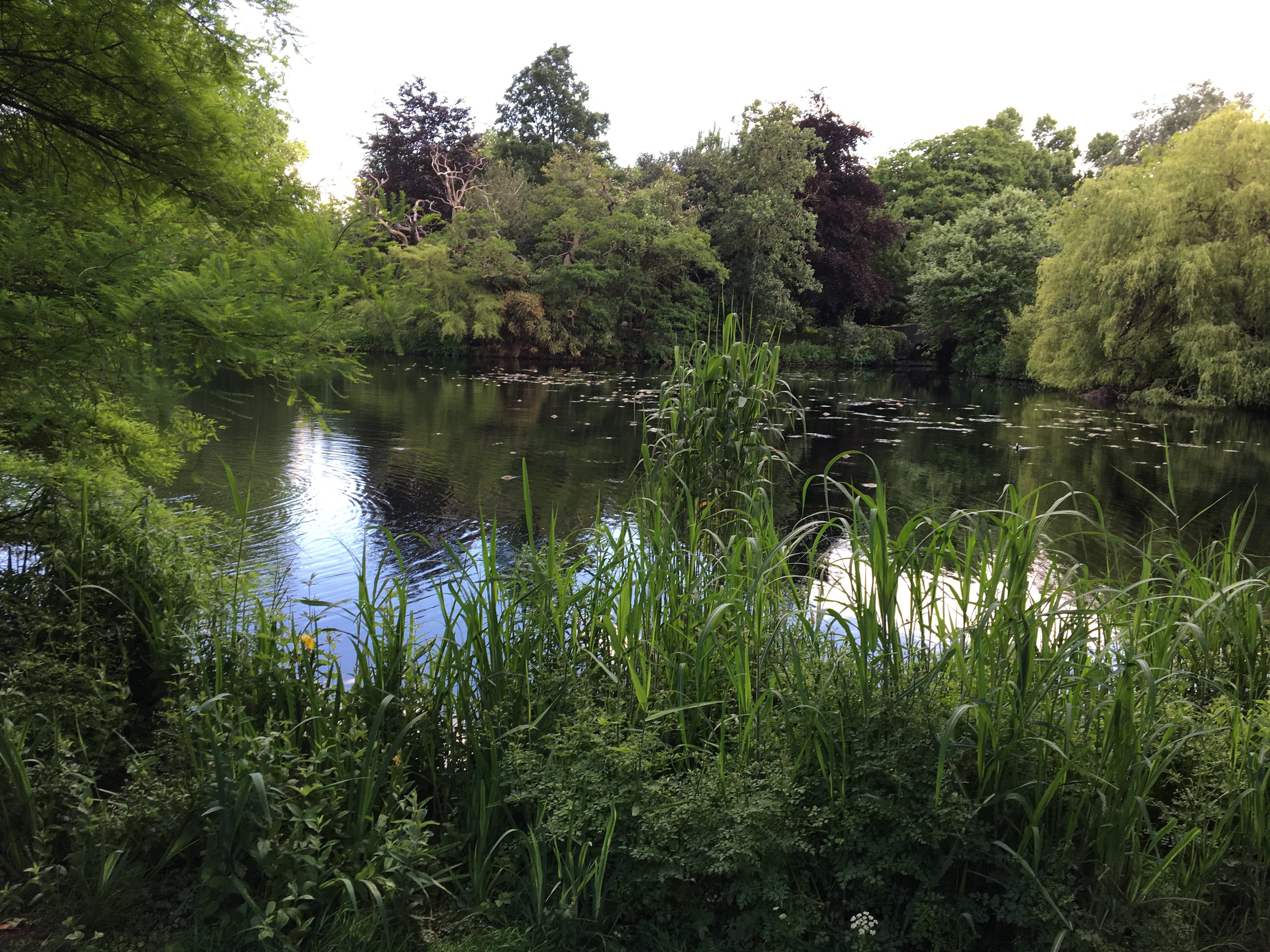 David Parfrey banner