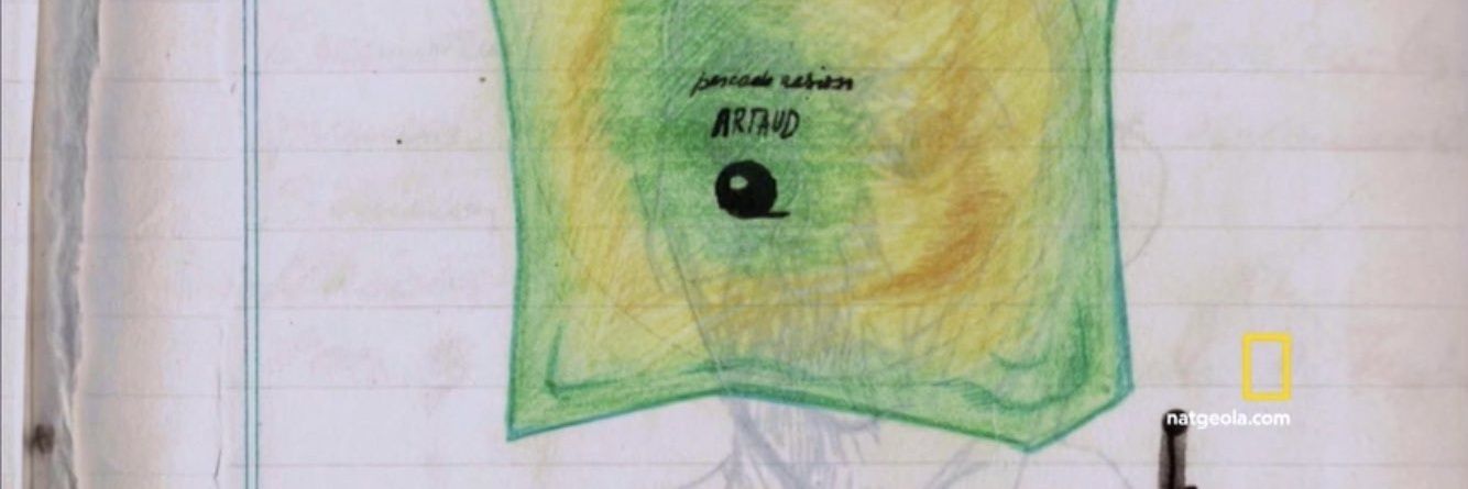 CappelliniLu's profile banner image