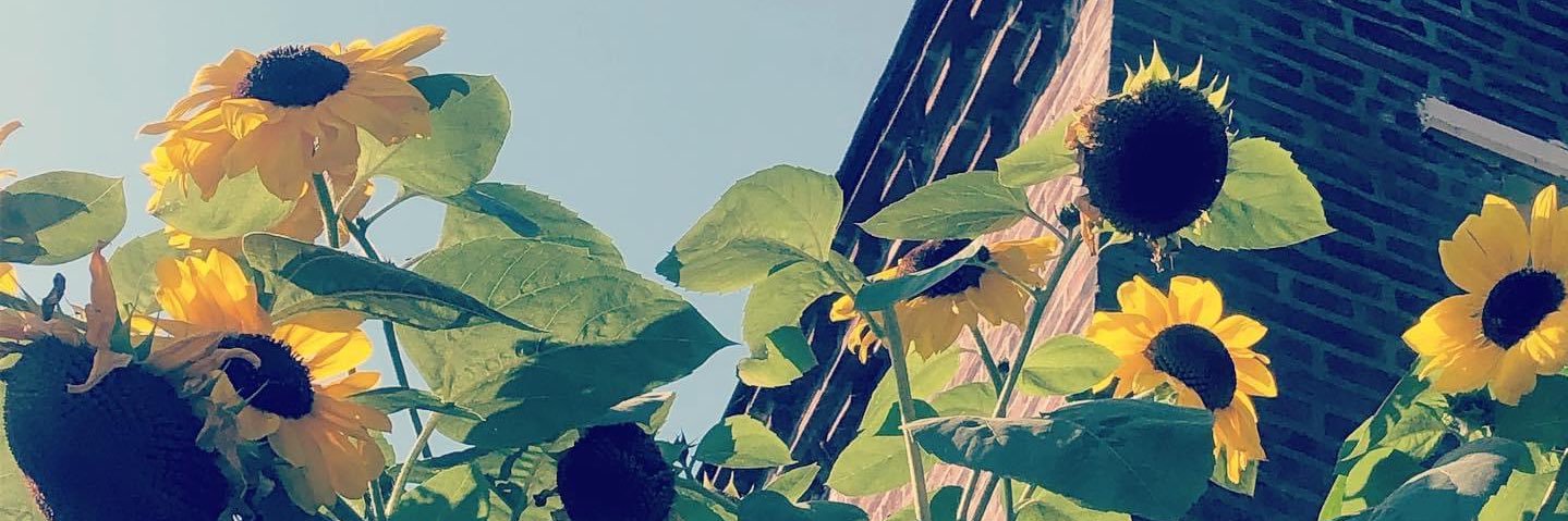 Brittany Stearns 🦋 banner