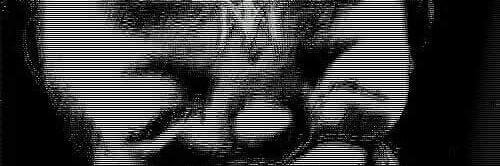cave moth banner