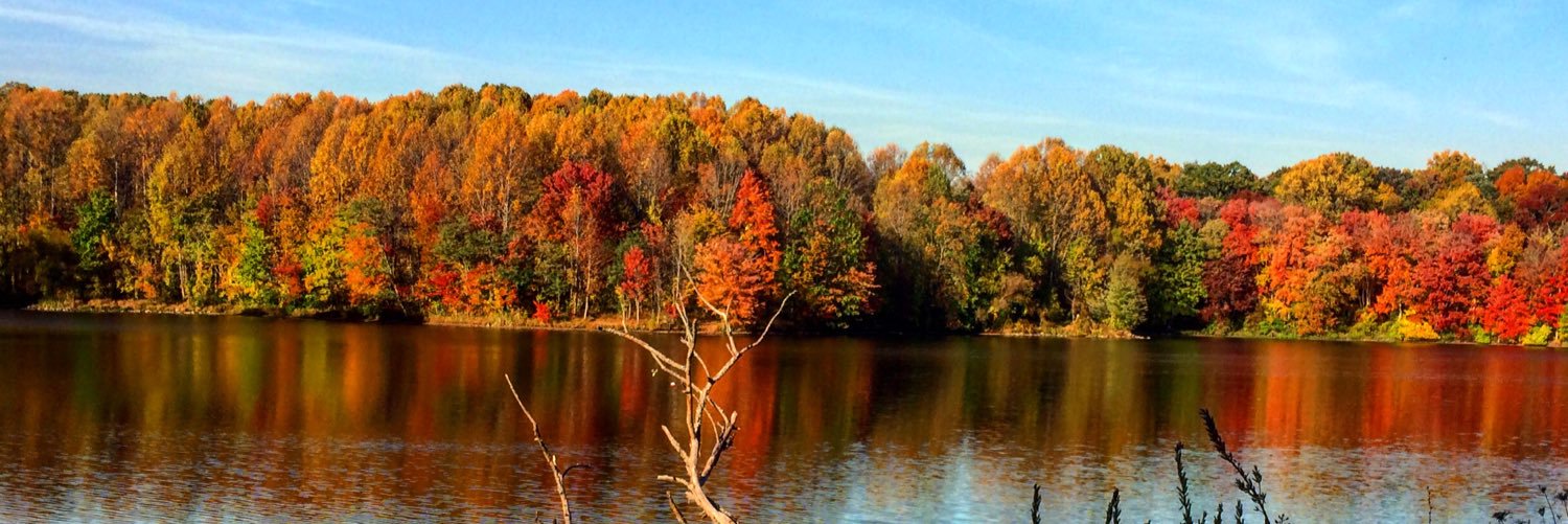MegHan_823's profile banner image