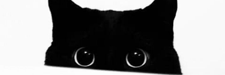 HeeeidyS's profile banner image