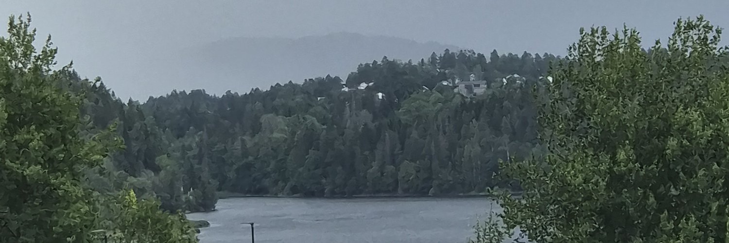 Norwegian_Dane's profile banner image
