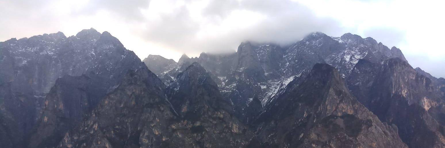 Rhiona-Jade Armont banner