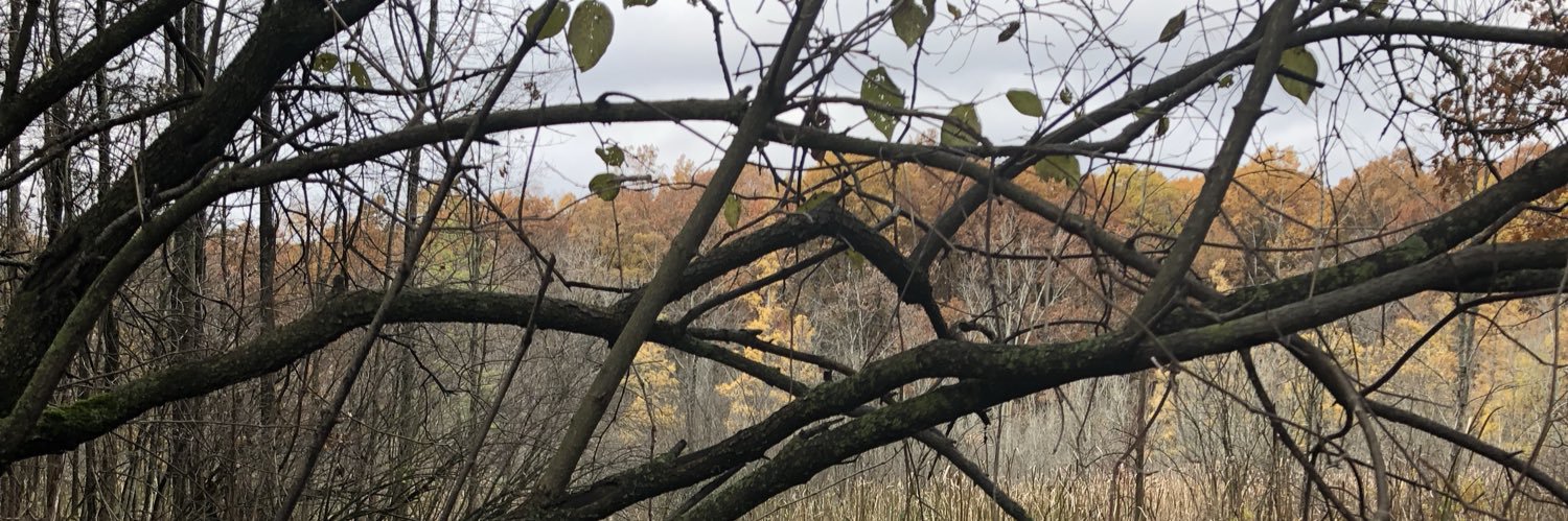 runanitarun's profile banner image