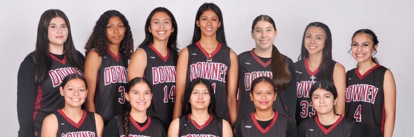 DHS Girls Basketball banner