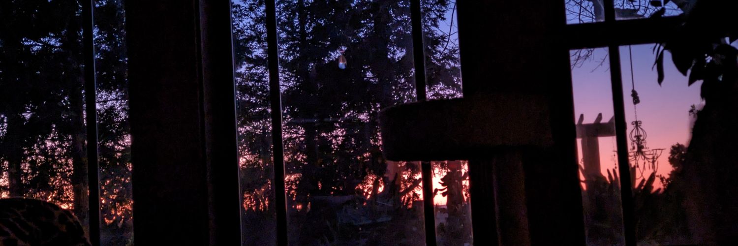 Jan Snark 🇺🇲🇺🇦 #SlavaUkraini 🌻🌻🌻 banner