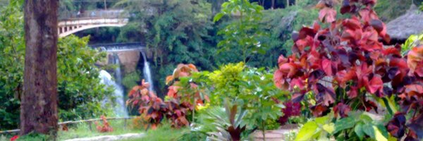 tmgitogo Profile Banner