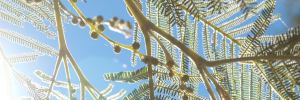 GeneticsAus Profile Banner