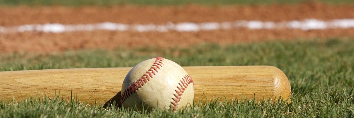 Baseball_South's profile banner image