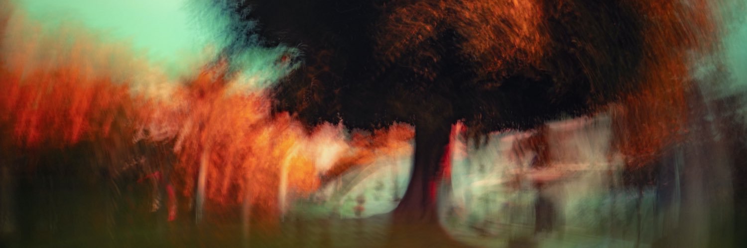 DebbieRothe's profile banner image
