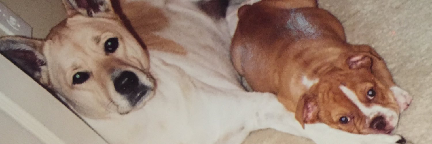 Ericbitar3's profile banner image