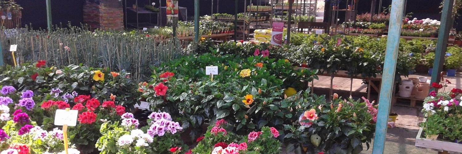 gardenarcdebara's profile banner image